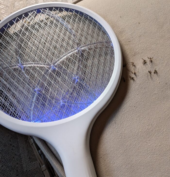 elektrische Fliegenklatsche erlegte Mücken